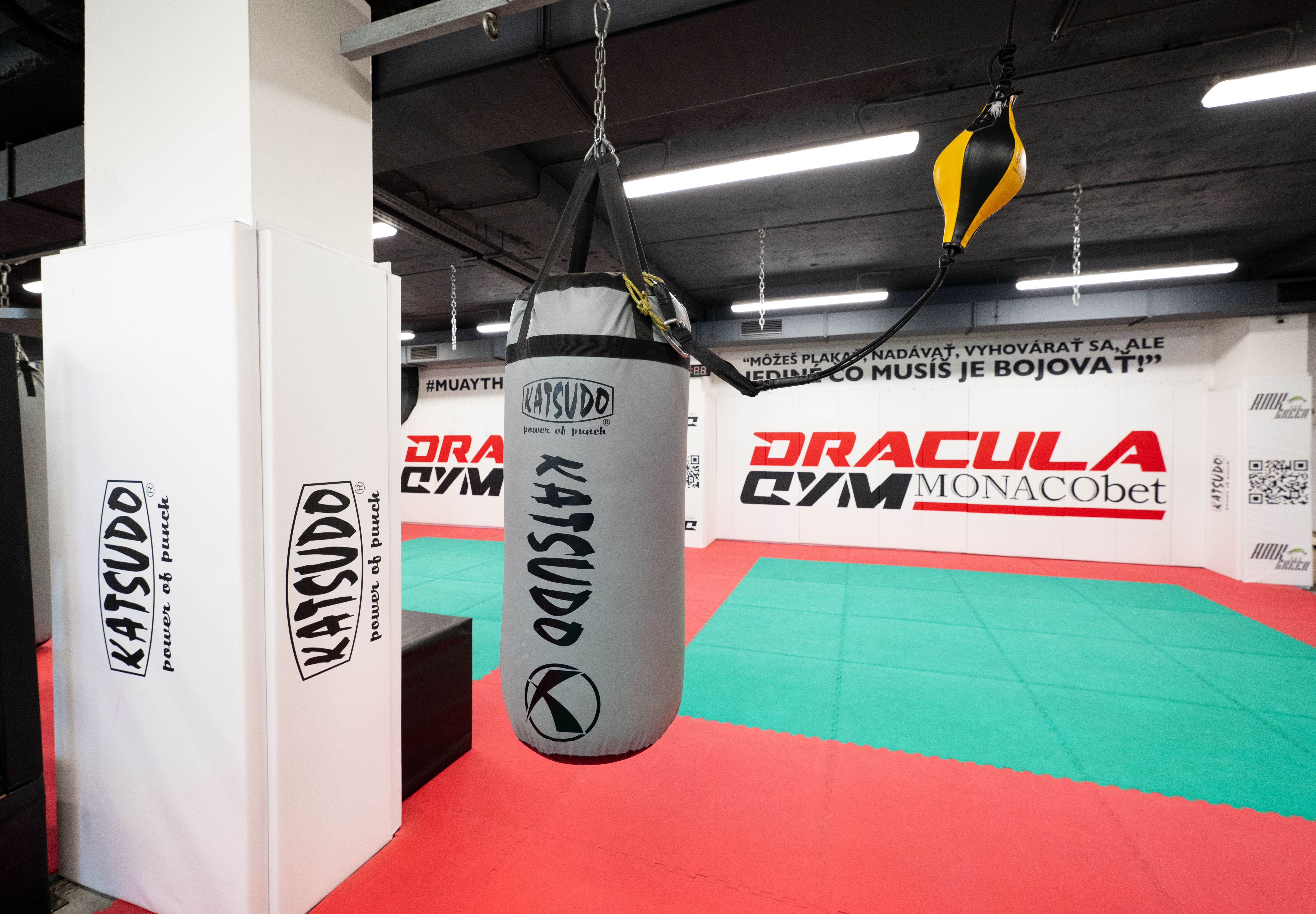 Katsudo box vreća Big boy Pro Boxing, siva