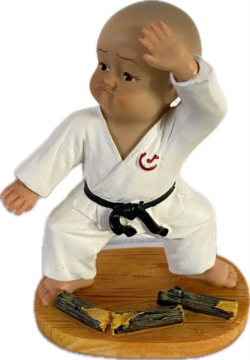 Katsudo kip karatista Kansei