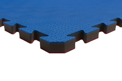 Zebra Tatami Puzzle, Red-Blue